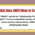 What Does SMFH Mean in Text