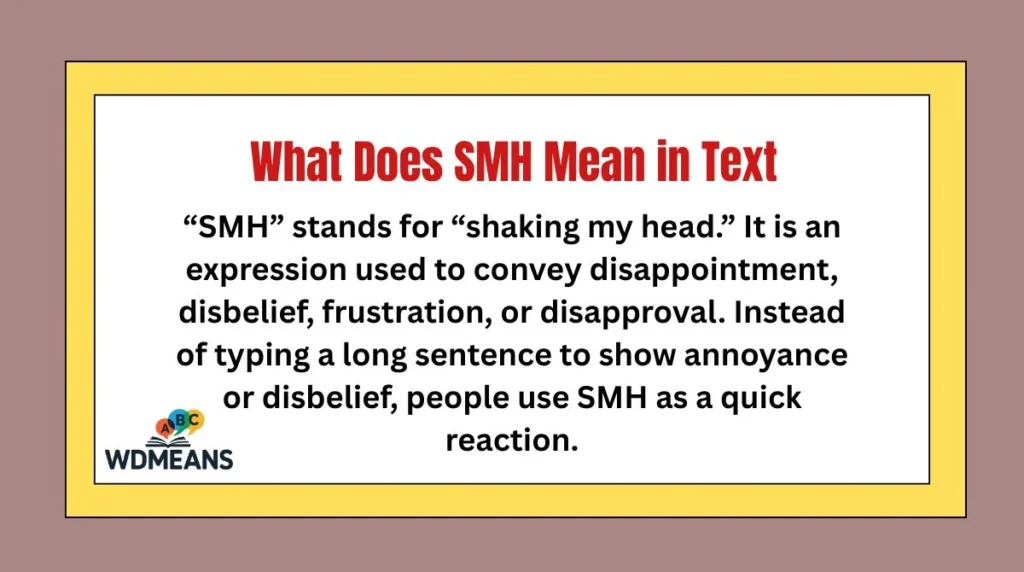 What Does SMH Mean in Text