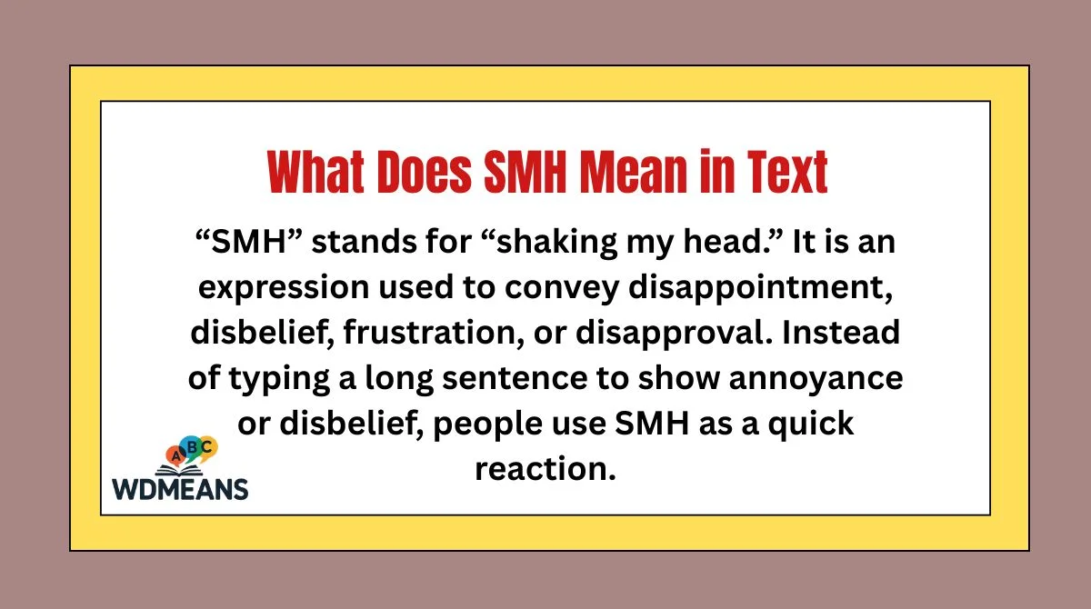 What Does SMH Mean in Text