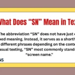 What Does “SN” Mean in Text