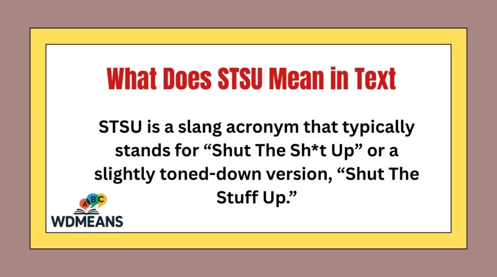 What Does STSU Mean in Text