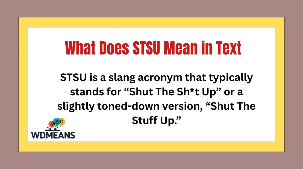 What Does STSU Mean in Text