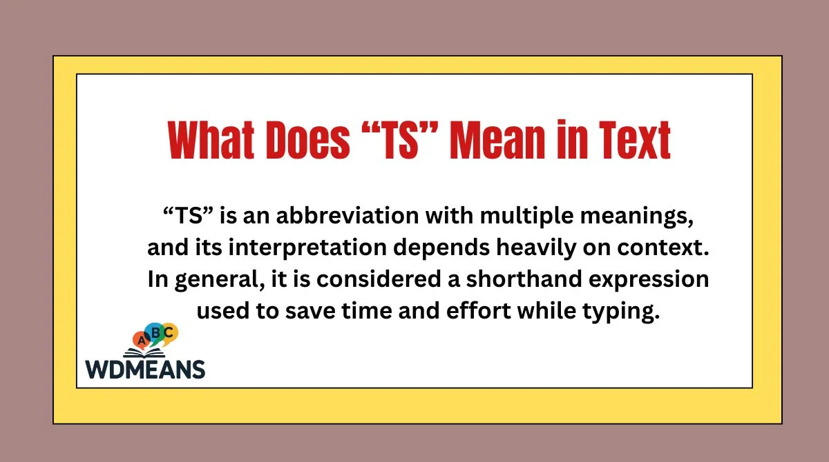 What Does “TS” Mean in Text