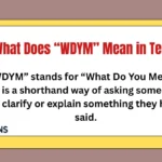 What Does “WDYM” Mean in Text