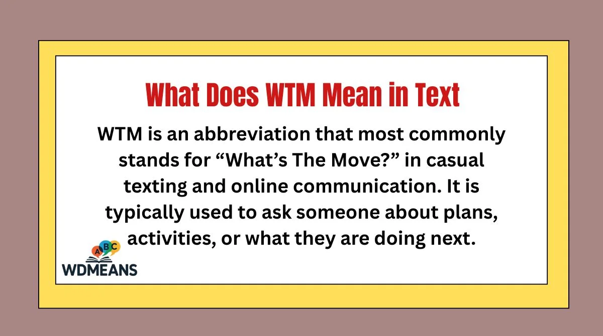 What Does WTM Mean in Text