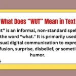 What Does “WUT” Mean in Text