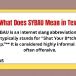 What Does SYBAU Mean in Text