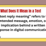 What Does It Mean in a Text