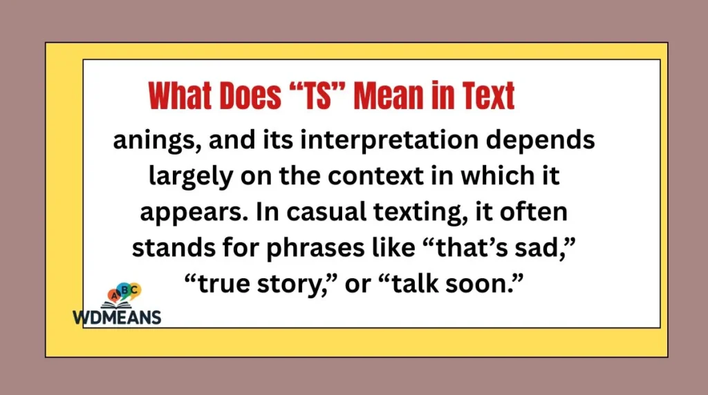 What Does “TS” Mean in Text