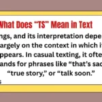 What Does “TS” Mean in Text