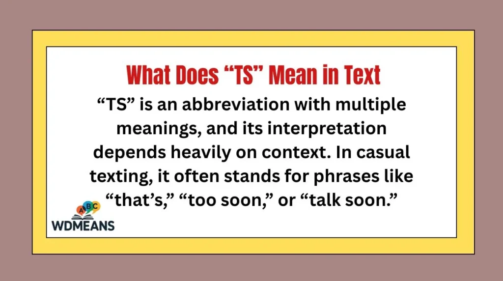 What Does “TS” Mean in Text