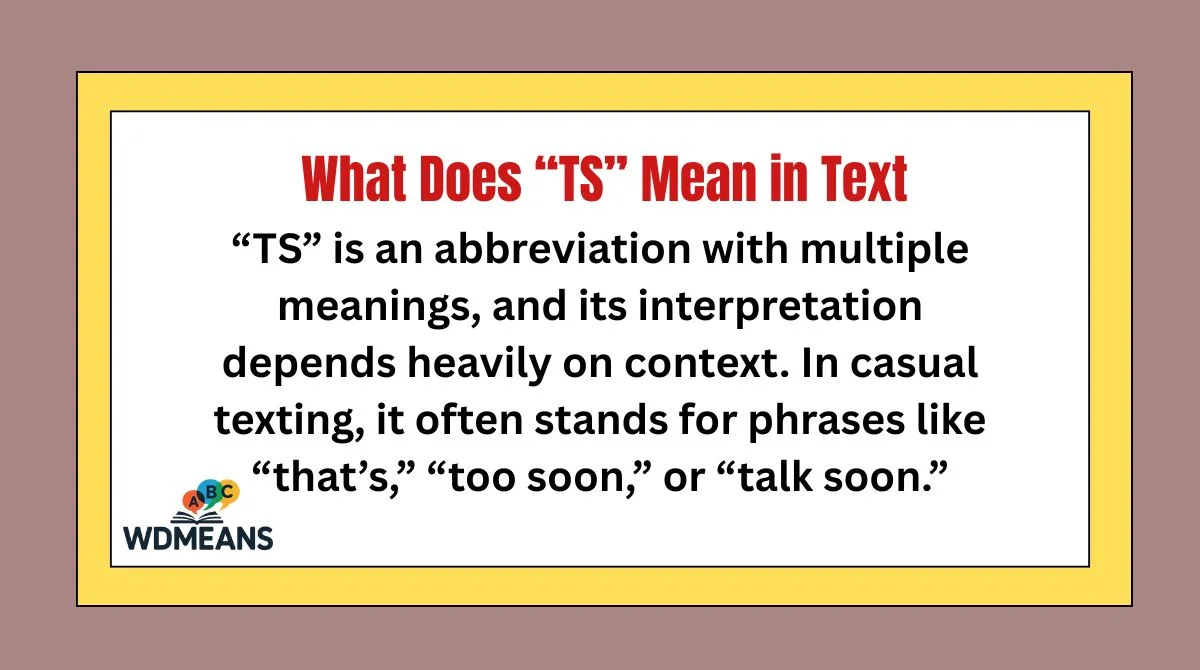 What Does “TS” Mean in Text