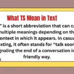 What TS Mean in Text