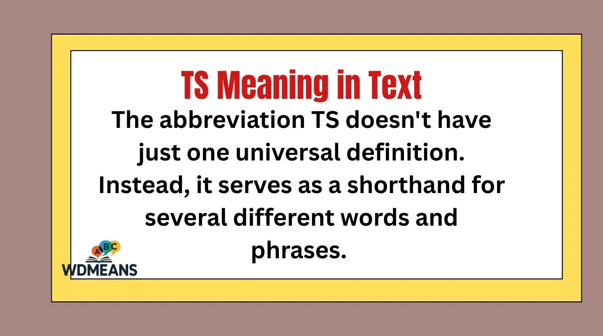 TS Meaning in Text